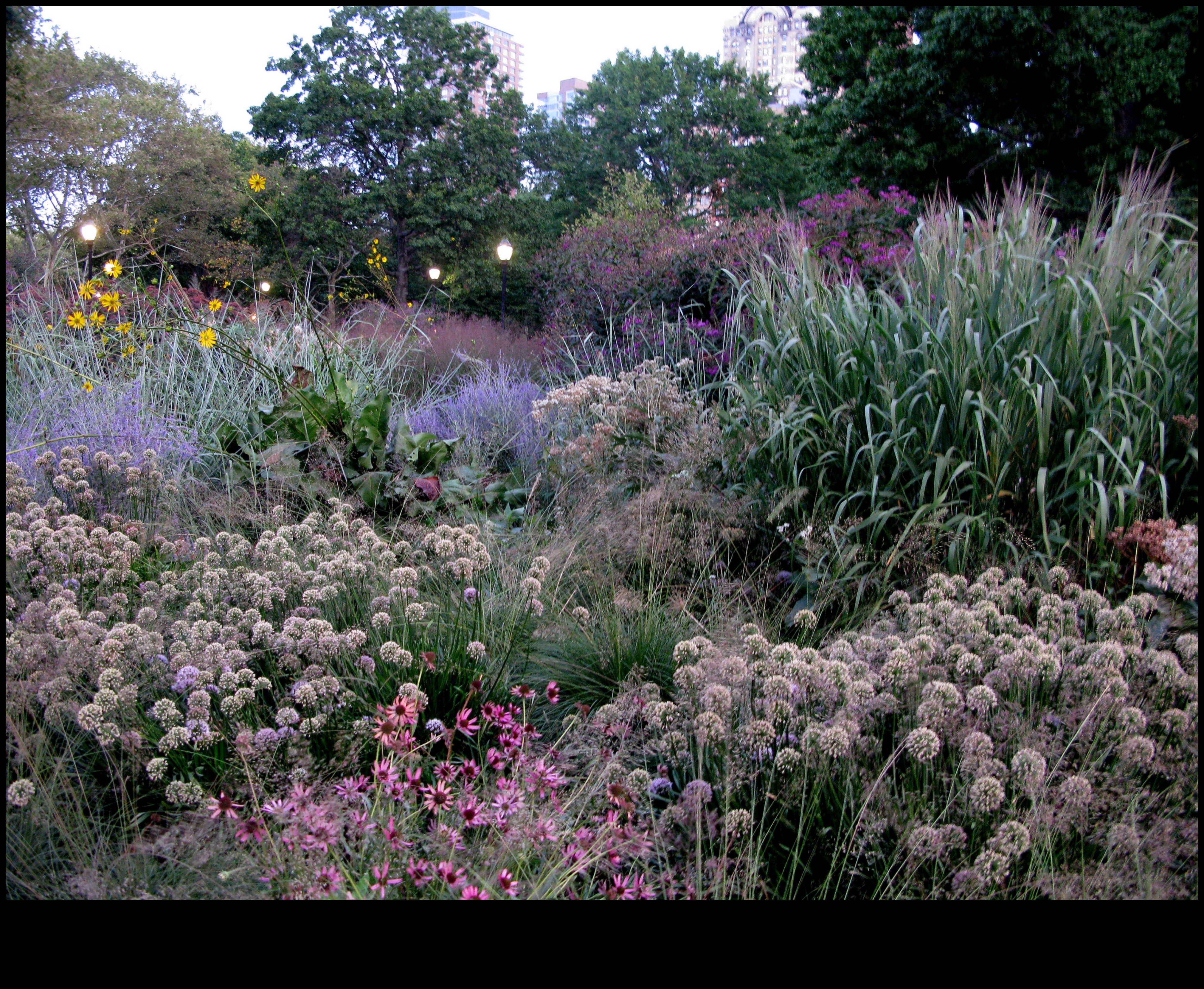 Garden Warriors: Tactici pentru un sanctuar rezistent la dăunători