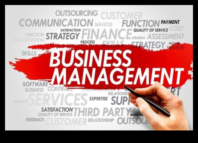 Motorul de management al afacerilor: promovarea succesului cu viziune