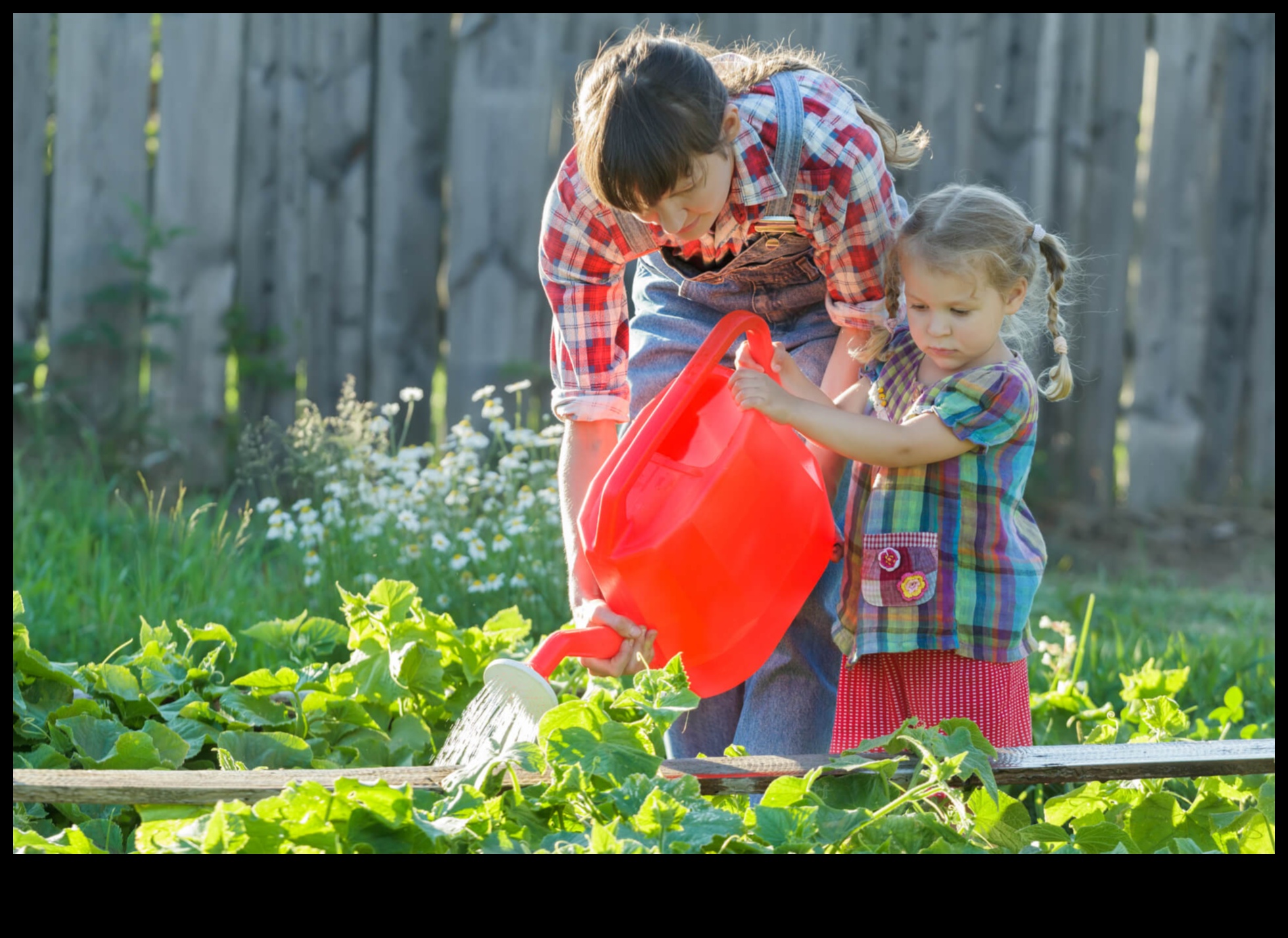 Blossom Brilliance 5 pași pentru o rutină proactivă de îngrijire a grădinii 4 Blossom Brilliance: pași esențiali pentru îngrijirea proactivă a grădinii