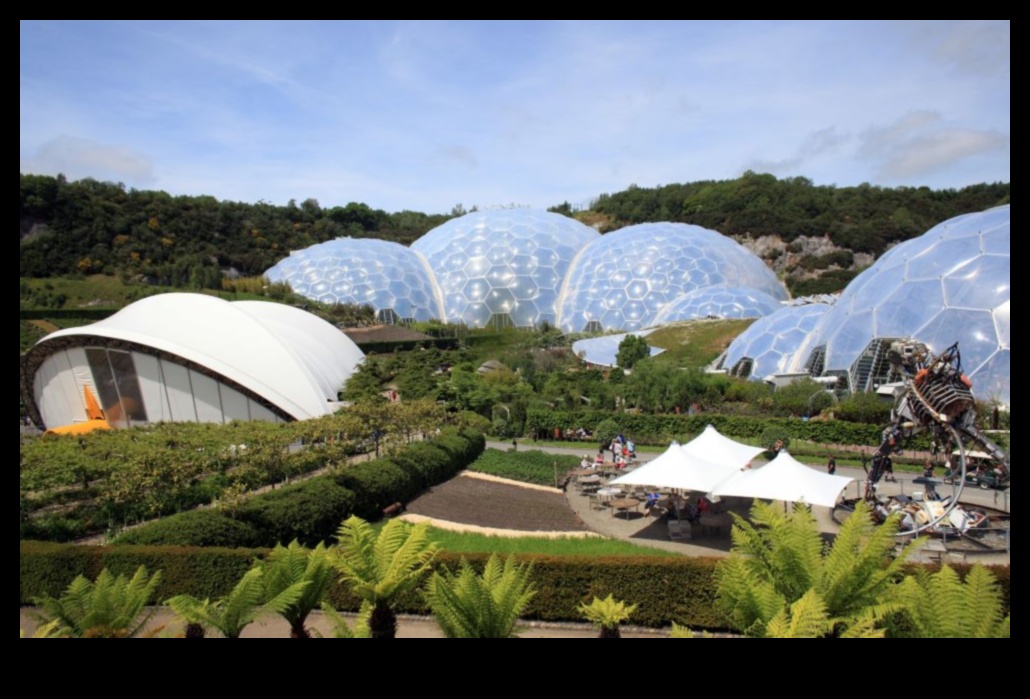 Eden interior: Dezvăluirea minunilor noastre cu seră