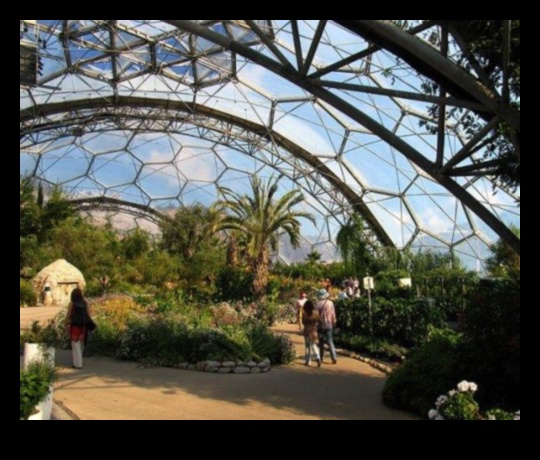 Eden interior: Dezvăluirea minunilor noastre cu seră