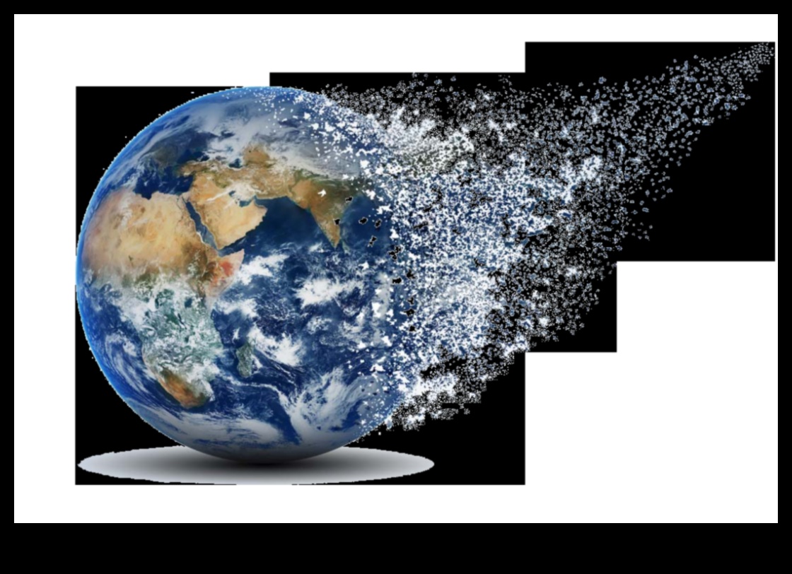 Simfonia de consultanță: orchestrarea creșterii și a viziunii