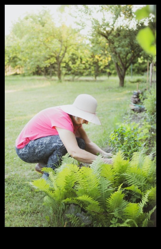 Frumusețea în continuă schimbare a Horticulturii Simfonice sezoniere 4 Simfonia sezonieră: frumusețea în continuă schimbare a horticulturii