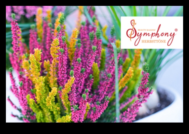 Frumusețea în continuă schimbare a Horticulturii Simfonice sezoniere 5 Simfonia sezonieră: frumusețea în continuă schimbare a horticulturii