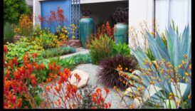 Blossom Brilliance: pași esențiali pentru îngrijirea proactivă a grădinii