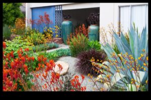 Blossom Brilliance: pași esențiali pentru îngrijirea proactivă a grădinii
