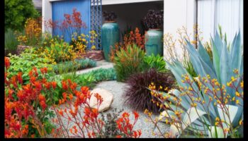 Blossom Brilliance: pași esențiali pentru îngrijirea proactivă a grădinii