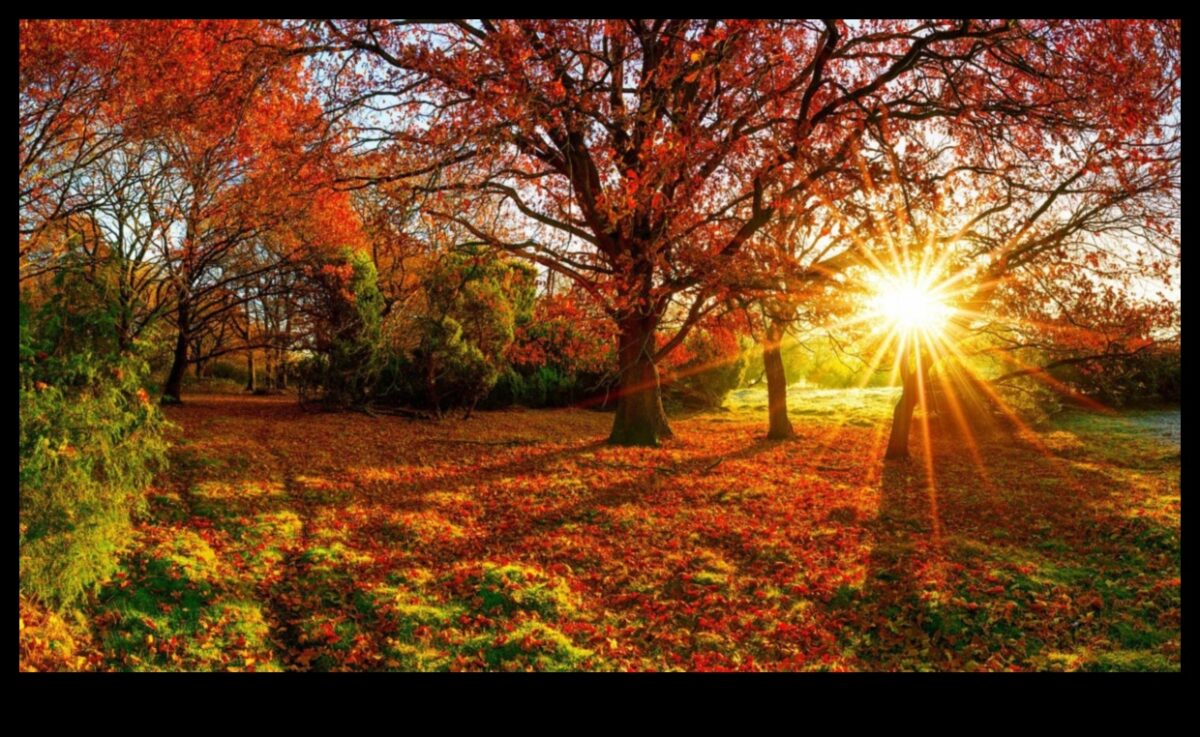 Simfonia sezonieră: frumusețea în continuă schimbare a horticulturii