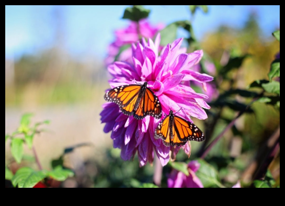 Garden Warriors: Tactici pentru un sanctuar rezistent la dăunători