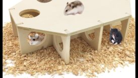 Ascunzători pentru hamsteri Continuare: Idei inovatoare de cuibărit pentru un confort sporit