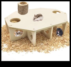 Ascunzători pentru hamsteri Continuare: Idei inovatoare de cuibărit pentru un confort sporit