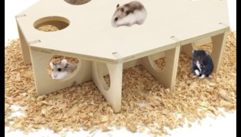 Ascunzători pentru hamsteri Continuare: Idei inovatoare de cuibărit pentru un confort sporit