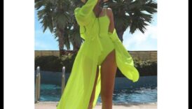 Reptile Regalia: Îmbrăcați-vă companionul Scaley