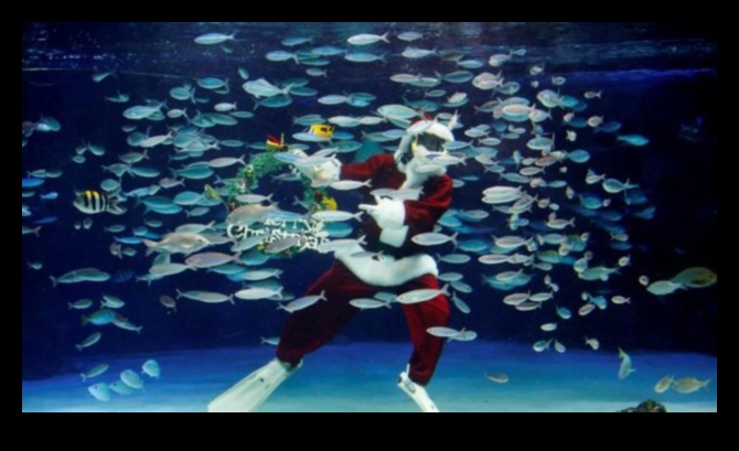 Sărbătorile cu acvariu au continuat: găzduiesc sărbători subacvatice