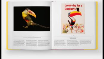 Minuni înaripate: accesorizarea păsării tale de companie pentru farmec